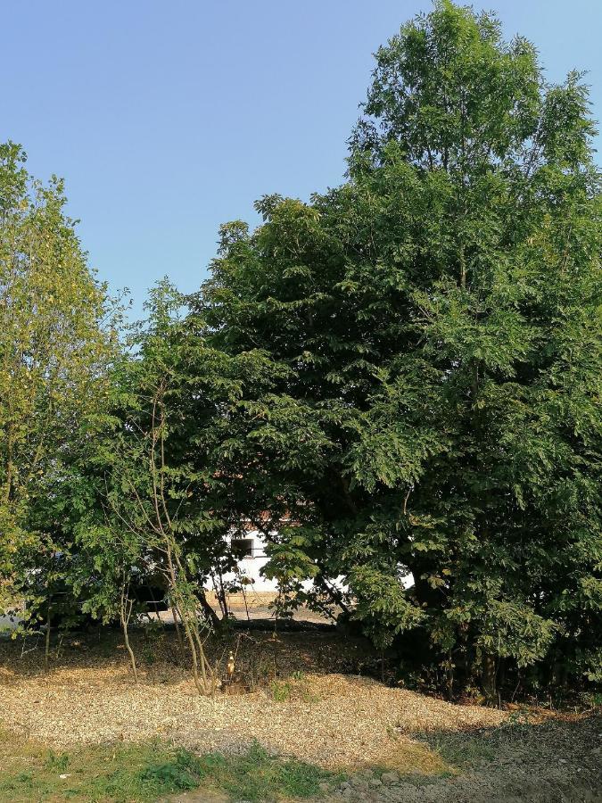 Camping Weides Küps エクステリア 写真